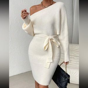 Cozy Asymmetrical Neck Batwing Sleeve Belted Sweater Dress